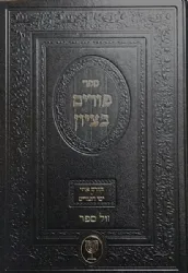 פורים בציון - דרשות והלכות | הרב בן ציון מוצפי