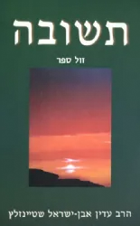 תשובה | הרב עדין אבן ישראל שטיינזלץ