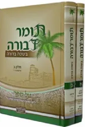 תומר דבורה בשפה ברורה | מכון סימנים