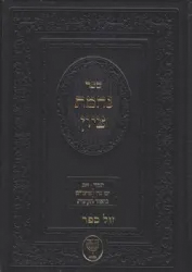 נחמת ציון - תמוז * אב * בין המצרים * ביאור הקינות | הרב בן ציון מוצפי
