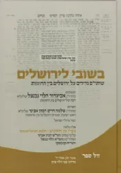 בשובי לירושלים - שאלות ותשובות על ירושלים בין החומות | מהרב נבנצל, הרב אבינר ועוד