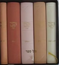 מחזורים רינת ישראל בינוני בכריכת עור משוחזר - צבע מעורב