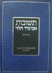 תשובות אביגדור הלוי - אורח חיים | הרב אביגדור נבנצאל