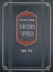 שו"ת מנחת אשר - חלק שלישי | הרב אשר וייס