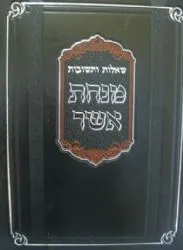 שו"ת מנחת אשר - חלק ראשון | הרב אשר וייס