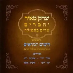 יצחק מאיר שרים בתפילה -ניגוני הימים הנוראים