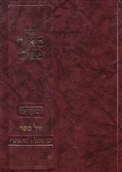 מאיר פנים - מועדים ימי אלול * חגי תשרי | הרב מאיר גולדויכט