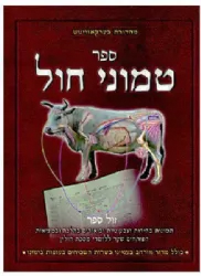 טמוני חול - תמונות צבעוניות ובהירות ללימוד מסכת חולין | הרב יעקב לאך