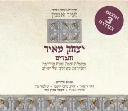 יצחק מאיר - זעיר אנפין