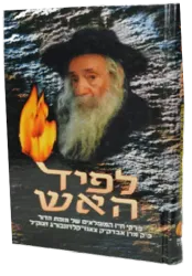 לפיד האש - האדמו"ר מקלויזנבורג 2 כרכים | אהרון סורסקי