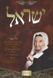 ישראל סבא קדישא - תולדותיו והליכותיו של הבבא סאלי | דויד יהודה יהודיוף