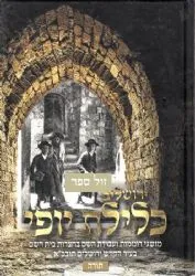 ירושלים כלילת יופי - מושגי רוממות ועבודת השם בעיר הקודש