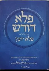 פלא דורש ביאור לפלא יועץ חלק א' | הרב אילן גוזל