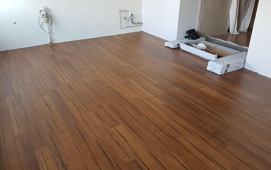 Timber Town vs. Online Suppliers: Where to Buy Rebo and Moso Bamboo Without Getting Scammed