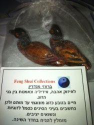 שקית אורגנזה עם 2 ברווזי מנדרין,מוצר פרסומי לאירוע