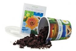 מתנה לטו בשבט,מארז שתילה עם לוגו