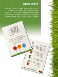 כרטיס ברכה עם זרעי שתילה,מתנה לכנס או לטו בשבט