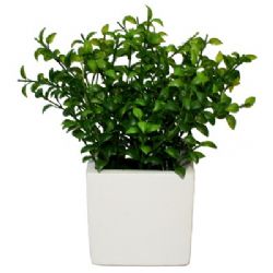 עציצים מלאכותיים,עציץ מנייר ממוחזר גובה 23 סמ'