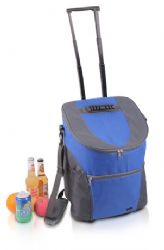 צידנית משפחתית טרולי קלה