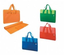 מחצלת קמפינג מפלסטיק וכרית מתנפחת