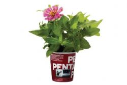 עציץ קטן עם זרעים,אפשר כולל הדפסה