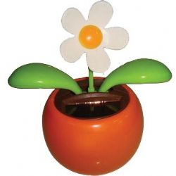 מעמד פרח סולארי