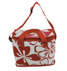 צידנית איכותית