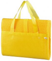 מחצלת פלסטיק לקמפינג עם כרית מתנפחת ,