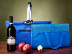 צידנית עם ידית