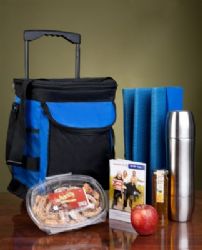 צידנית טרול