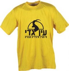 חולצת טריקו צבעונית, 130 גר', 100% כותנה