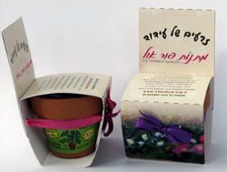 ערכת שתילה לטו בשבט